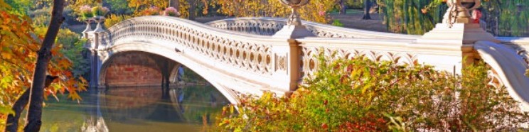 Colorful bridge
